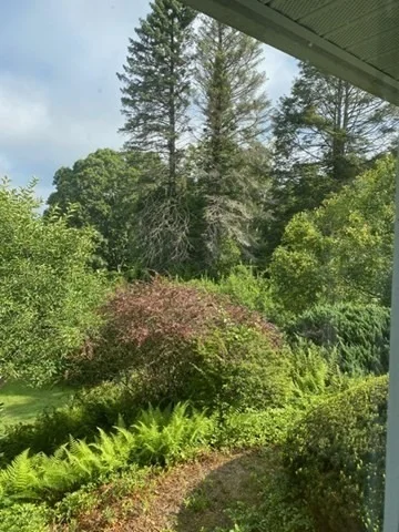 Photo of 61 Arnold Rd