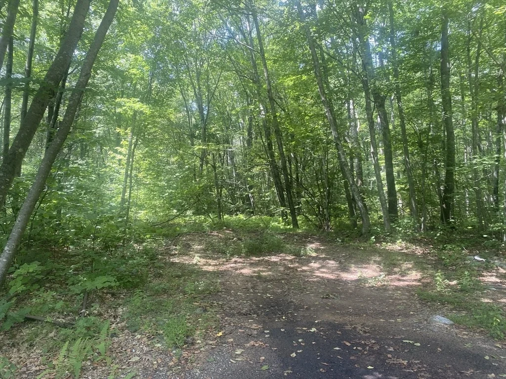 Photo of Tract 7 Delargy Rd