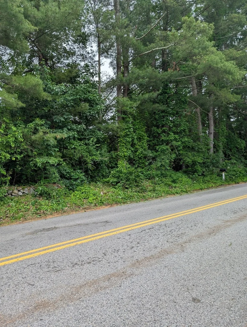 Photo of 0 Lower Gore Rd