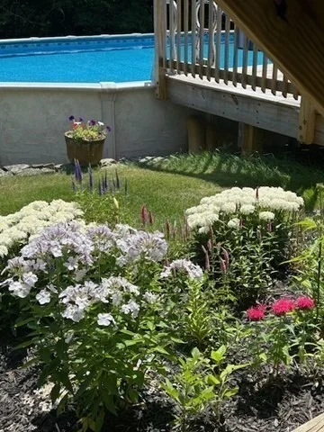 Photo of 216 Gray Rd