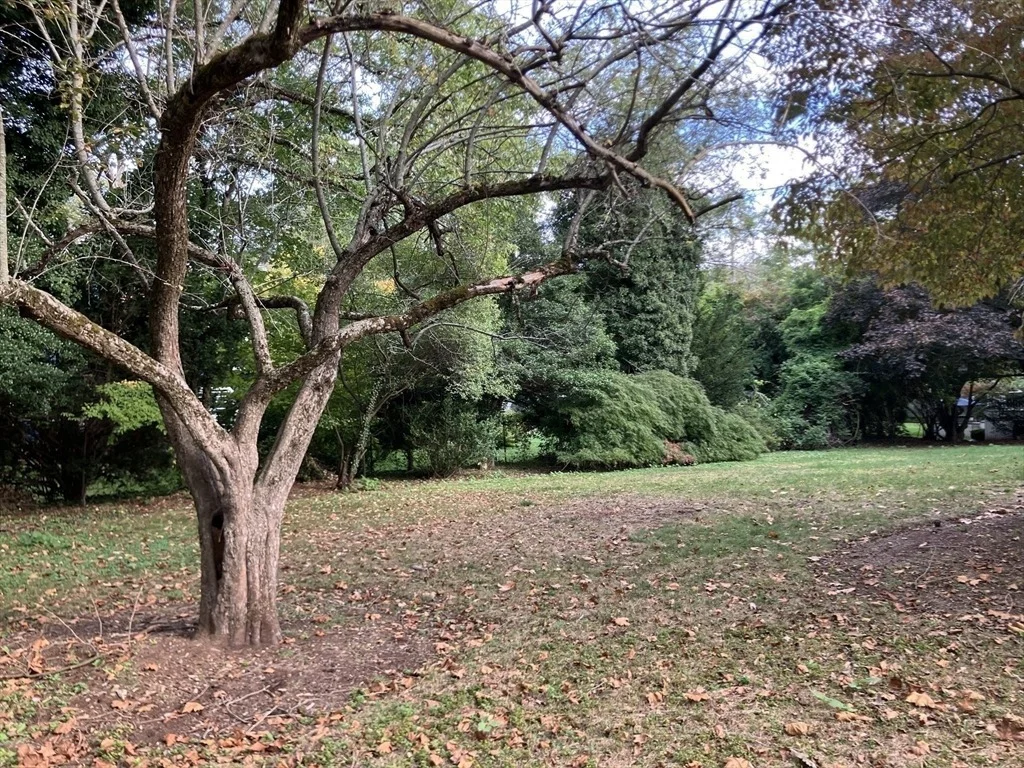 Photo of 3 Glenoe Rd
