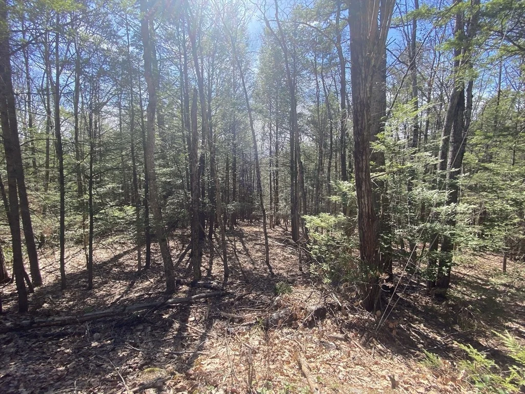 Photo of Lot 23-25 Hawk Hill Rd