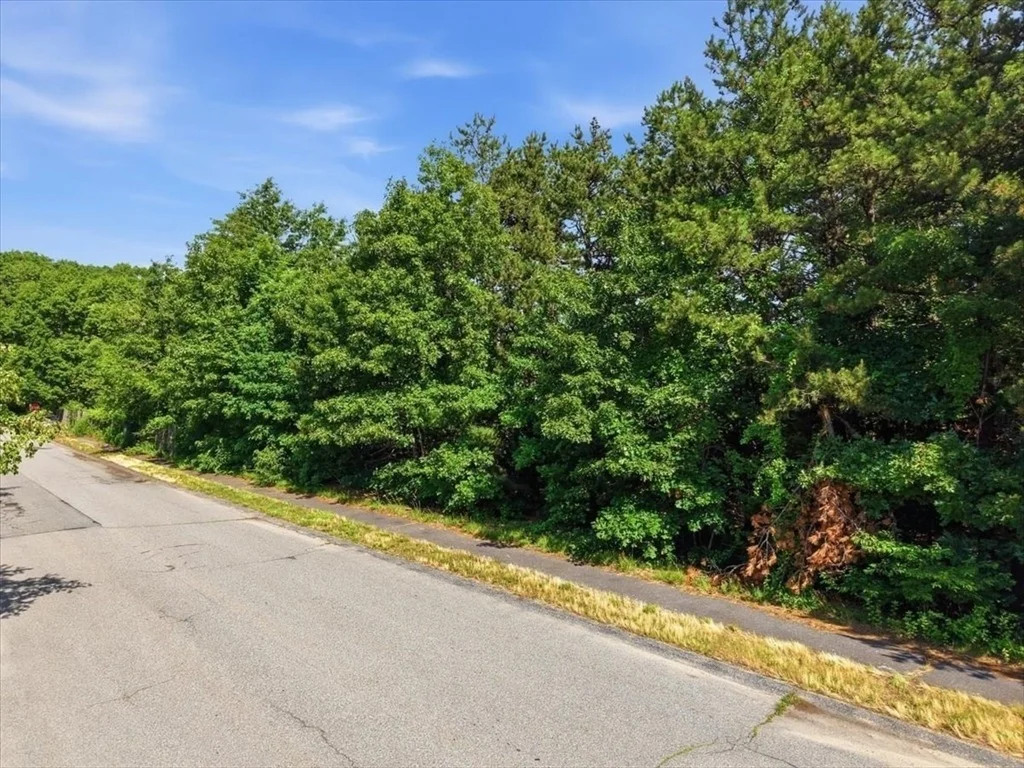 Photo of 24 Alexandra Dr