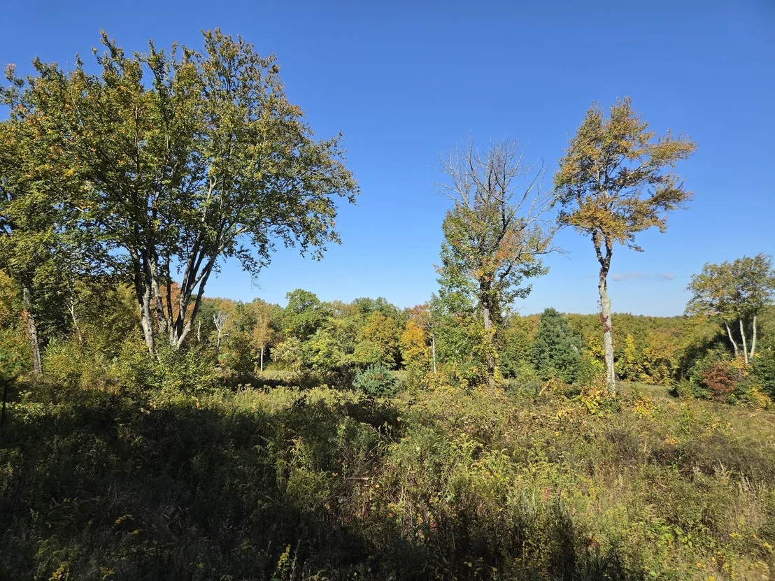 Photo of Lot 5A South Rd