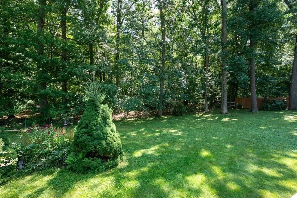 Photo of 19 Middle Rd