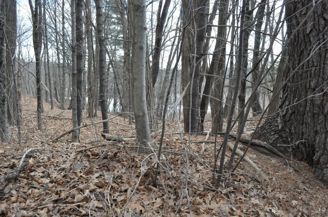 Photo of 1010 Ryan Rd