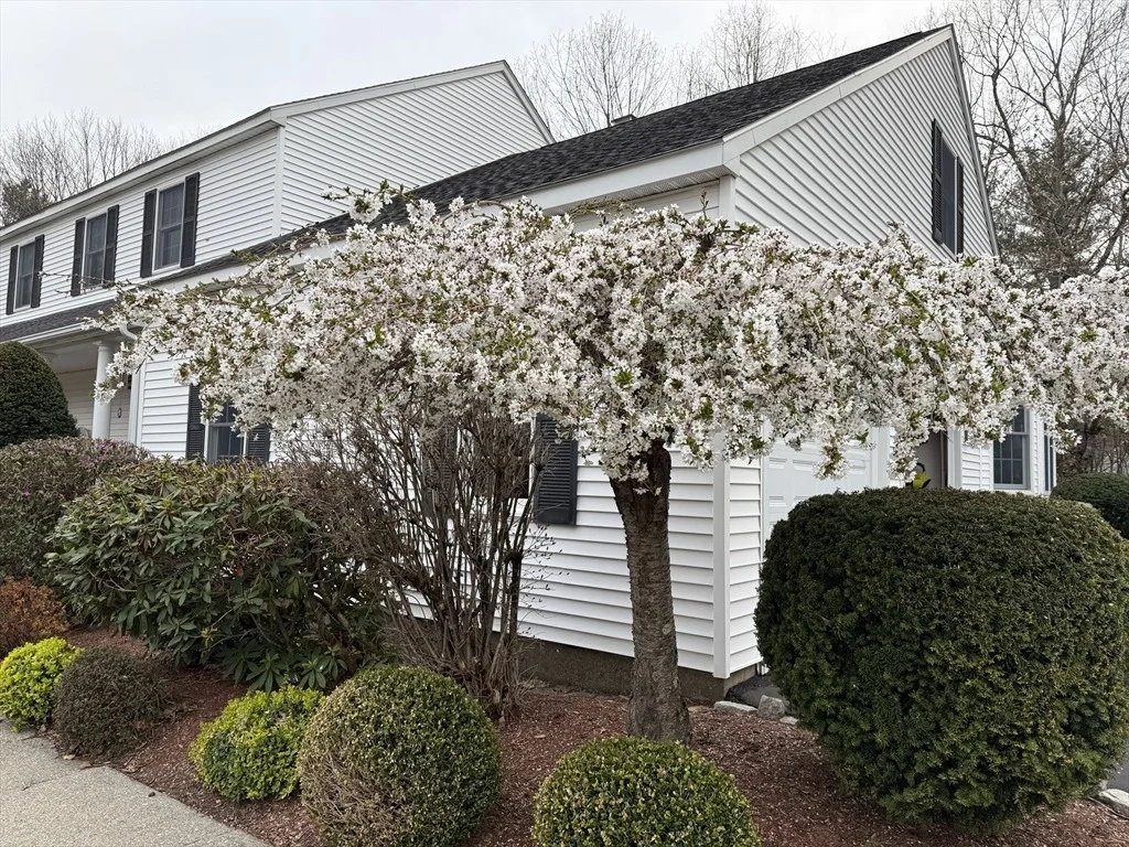 Photo of 11 Sanfred Road
