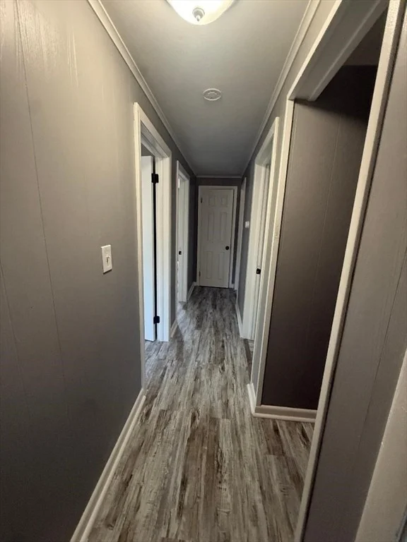 Photo of 34 Allen St
