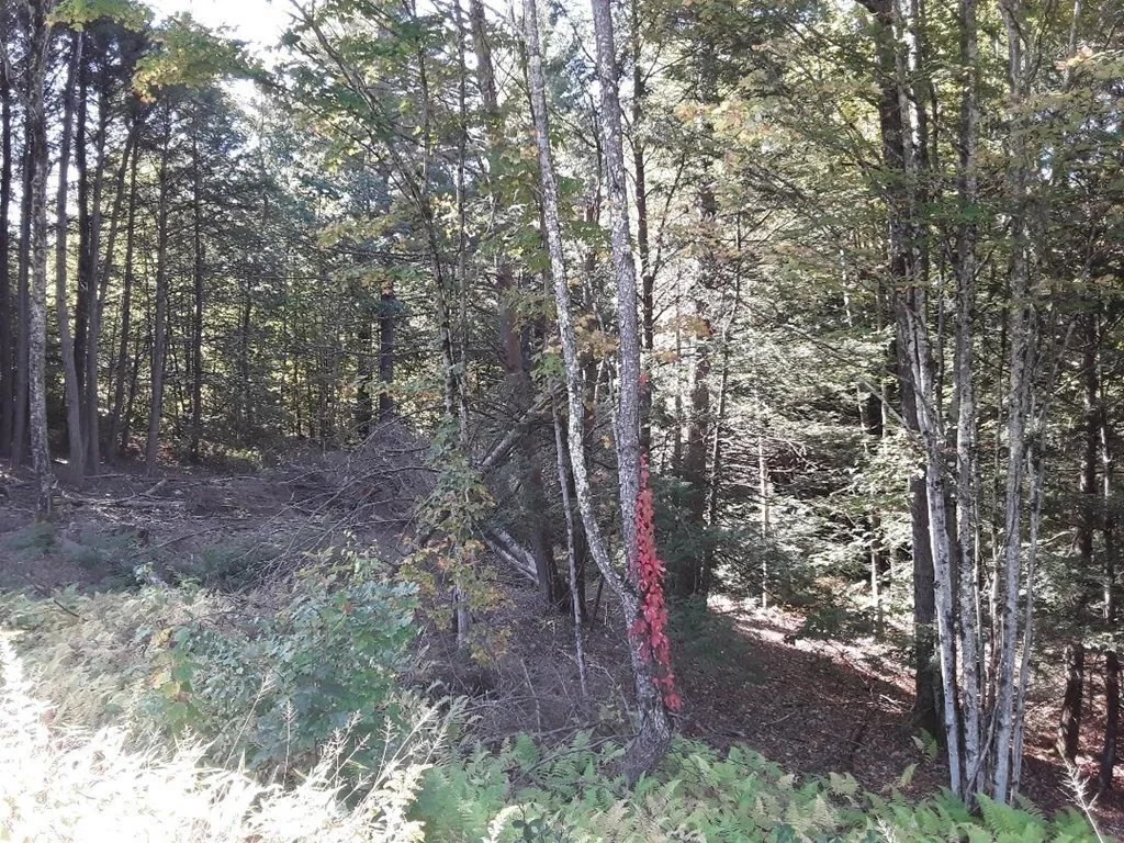 Photo of 296 Northwest Road
