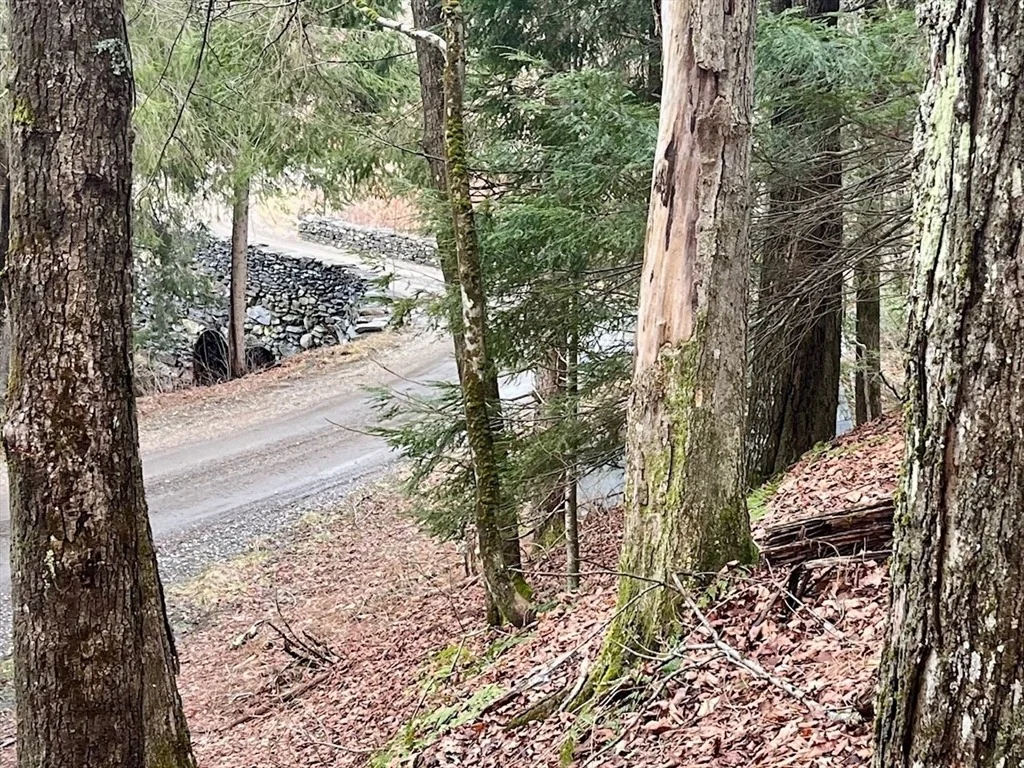 Photo of 0 Parish Road