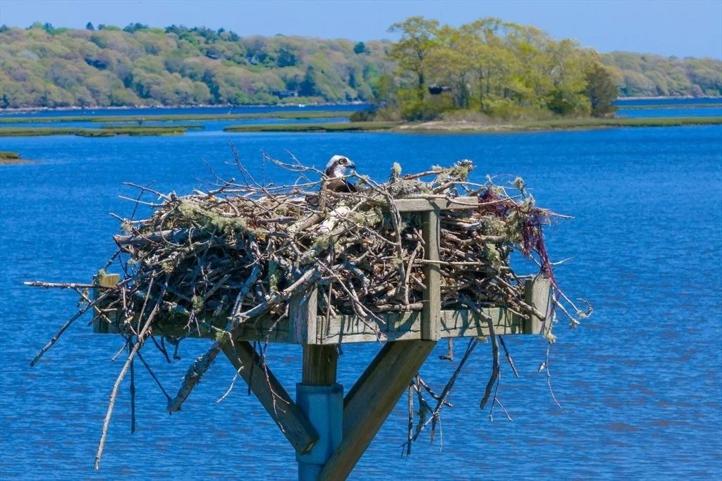 Photo of 246 River Road