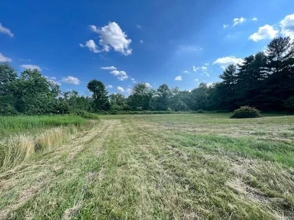 Photo of 233 Mort Vining Road