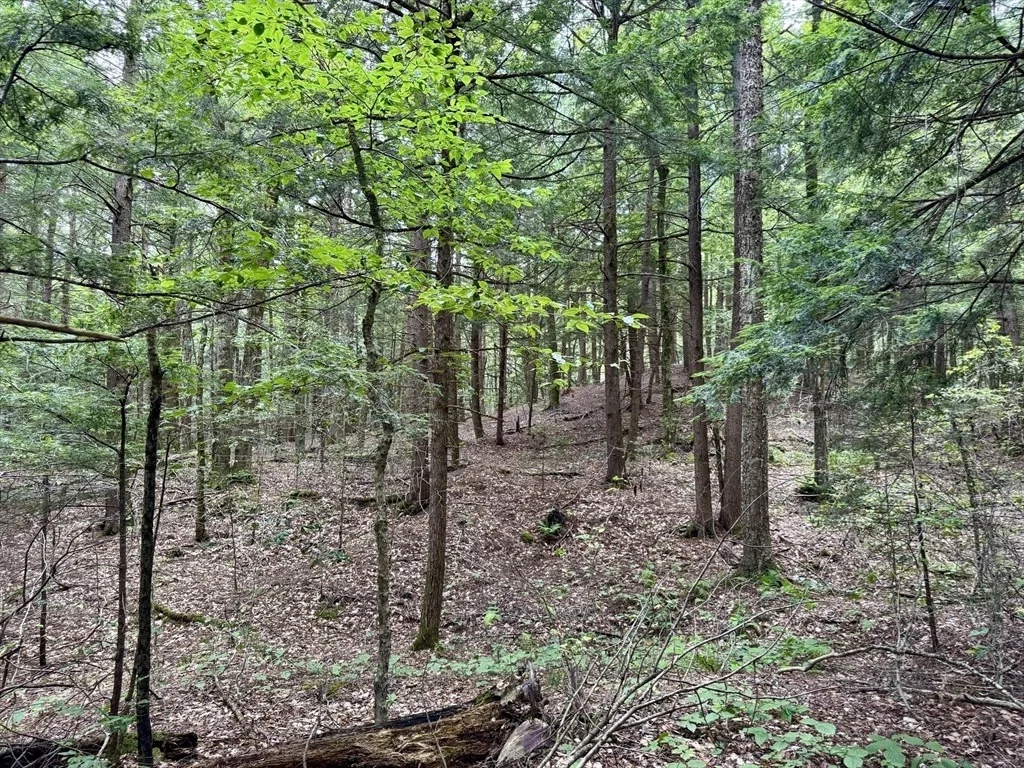 Photo of 80 River Road