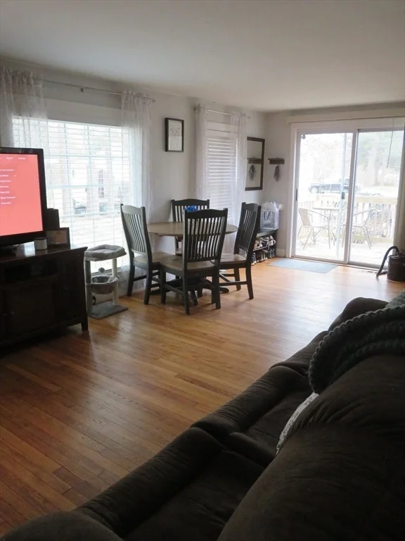 Photo of 34R Pine