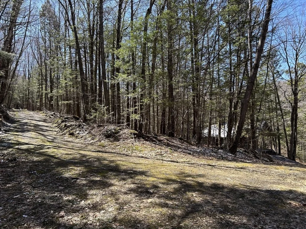 Photo of 71 Dodge Rd