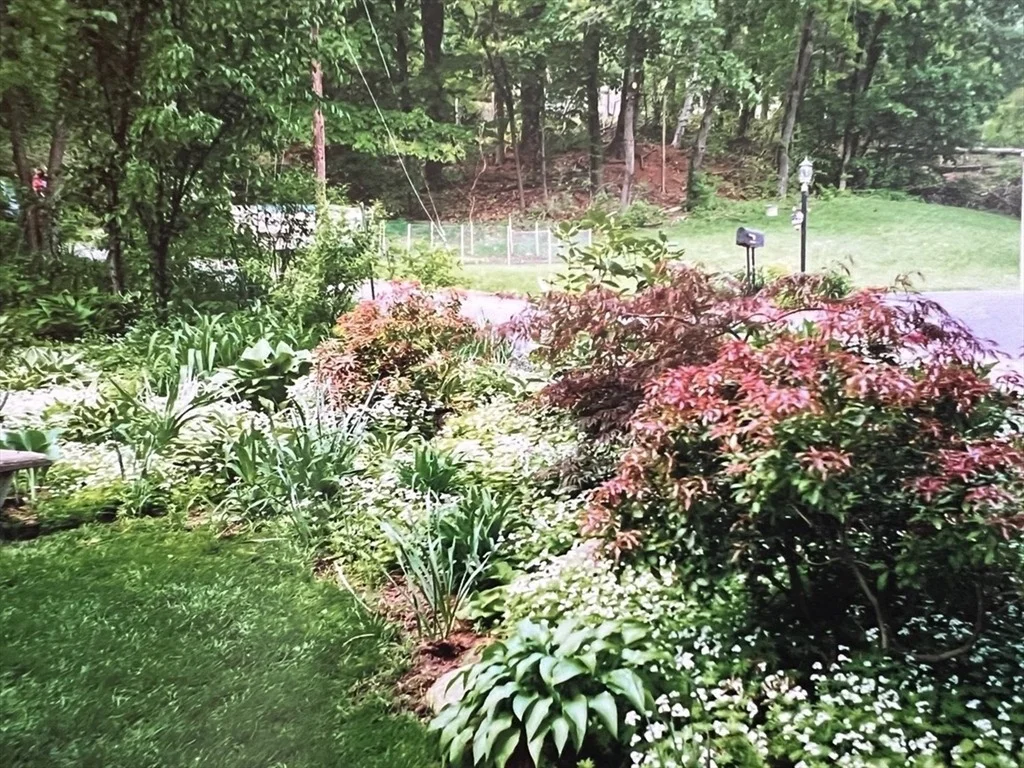 Photo of 21 Lovers Ln