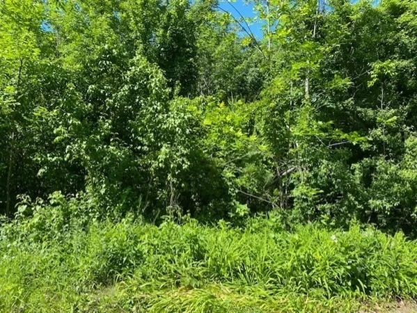 Photo of 280 & 290 Spring Road
