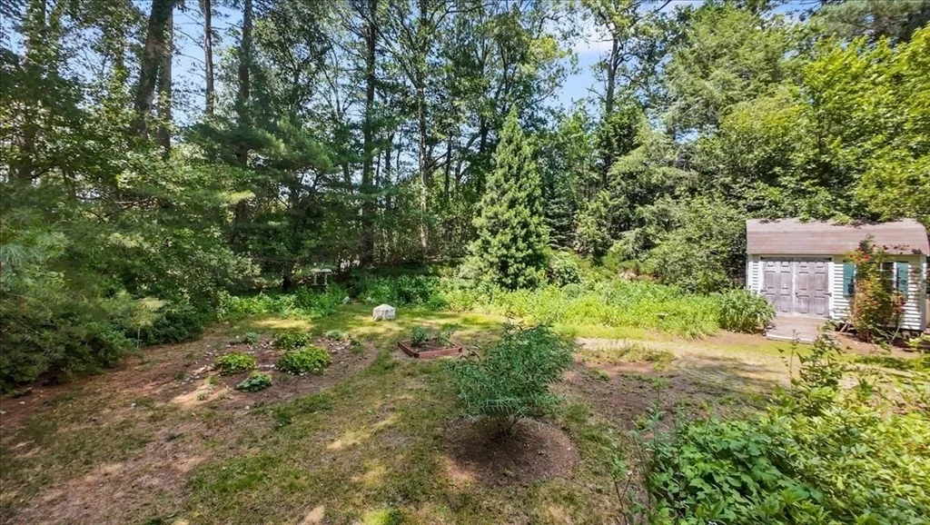 Photo of 449 Brook Street
