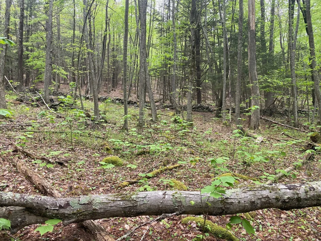 Photo of 628 Daniel Shays Hwy