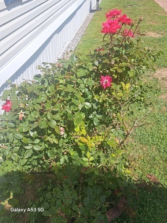 Photo of 289 Richards Ave