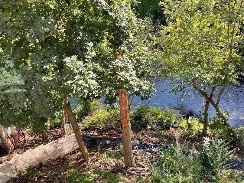 Photo of 2653 Providence Rd