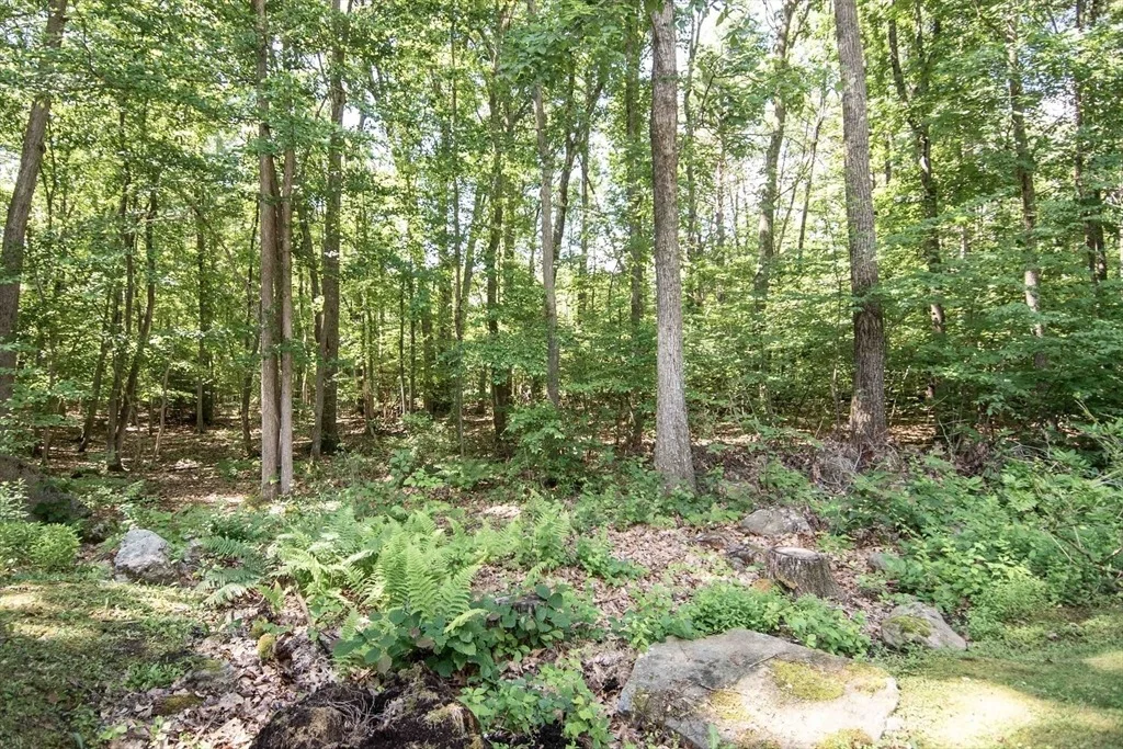 Photo of 80 Lyman Rd