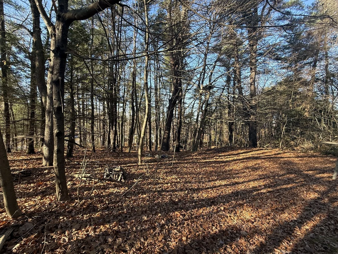 Photo of 0 Lyman Barnes Rd