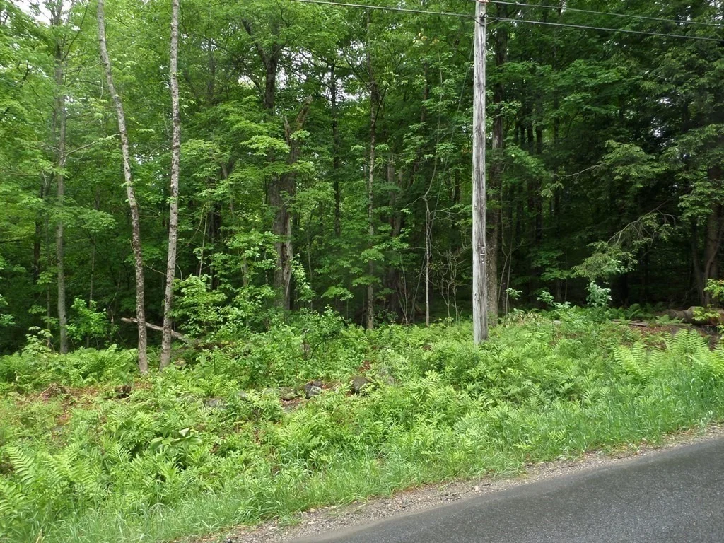 Photo of 333 Ranney Corner Rd