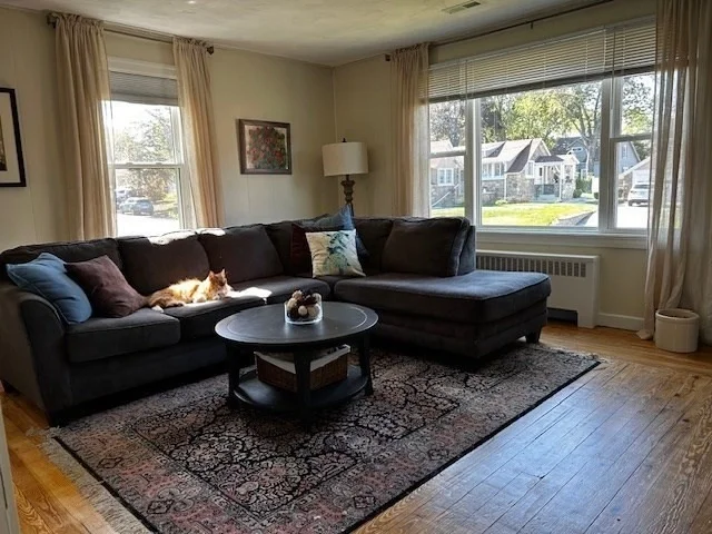 Photo of 137 Papineau