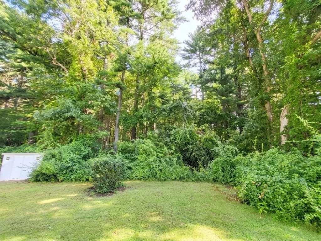 Photo of 65 Beechwood Road