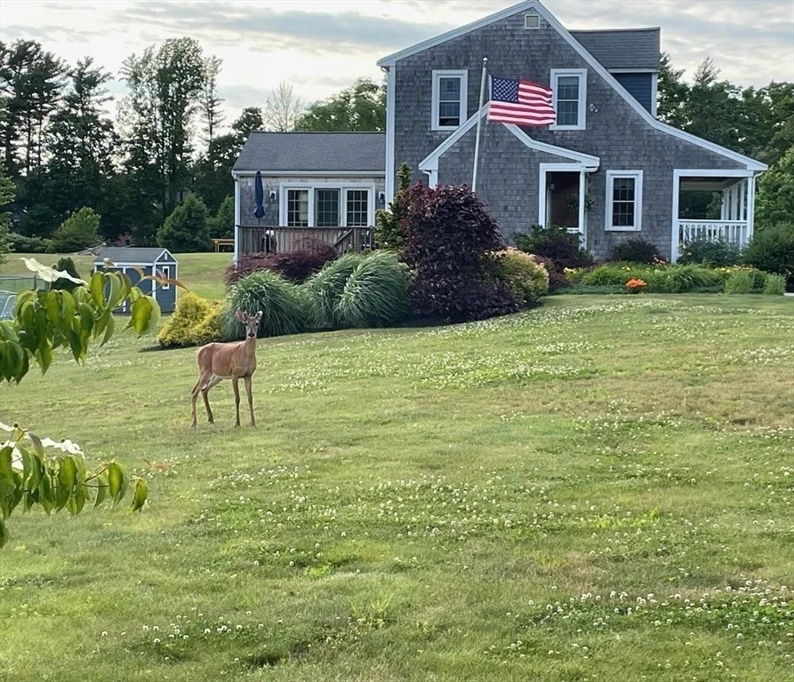 Photo of 16 Palmer Mill Rd