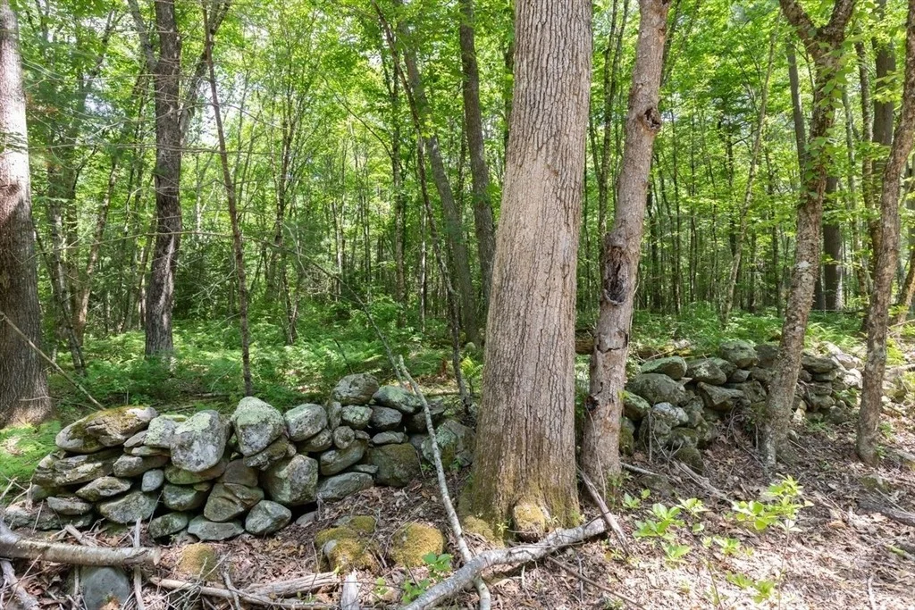 Photo of 31 Parsonage Rd