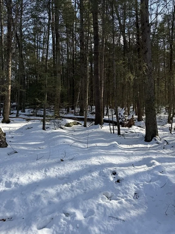 Photo of 0 Four Mile Brook Rd