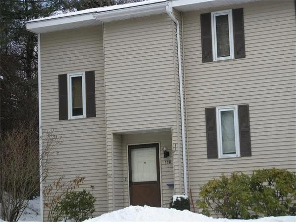 Photo of Unit 110 at 110 Spring Lane