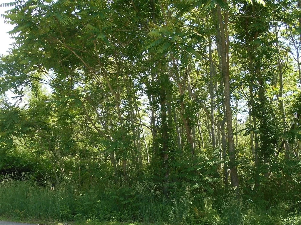 Photo of 21 Papermill Road