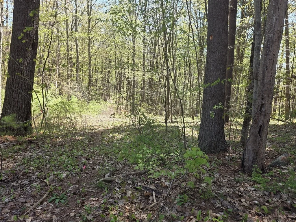 Photo of Lot 3 Beacon St