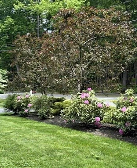 Photo of 54 Pope Rd