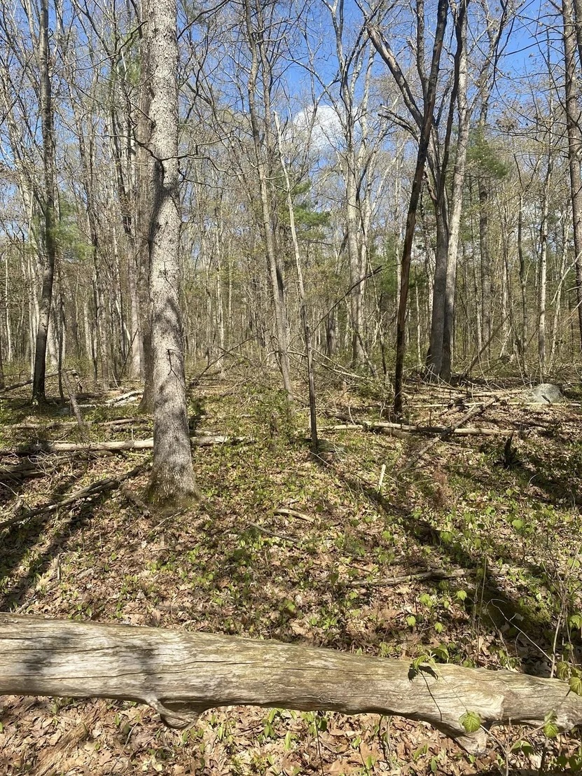 Photo of 395 Belchertown Rd