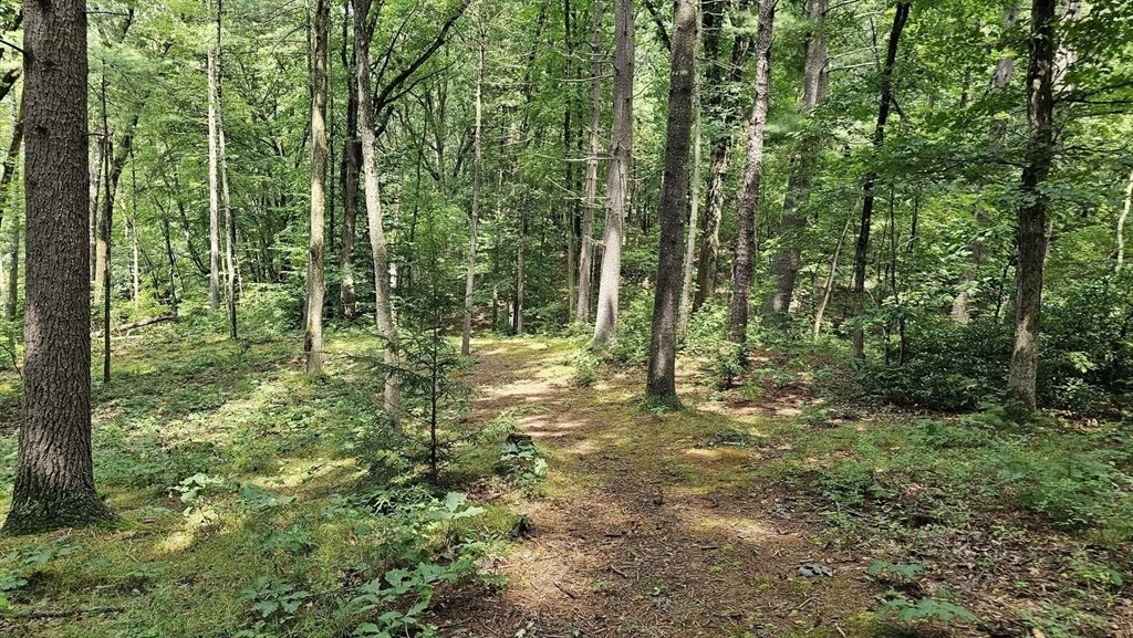 Photo of 723 Ryan Road, Lot B