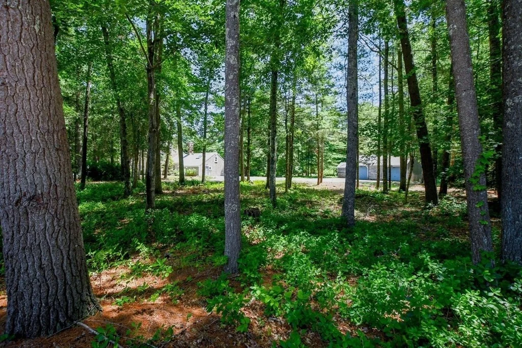 Photo of 62 Olde Knoll Road