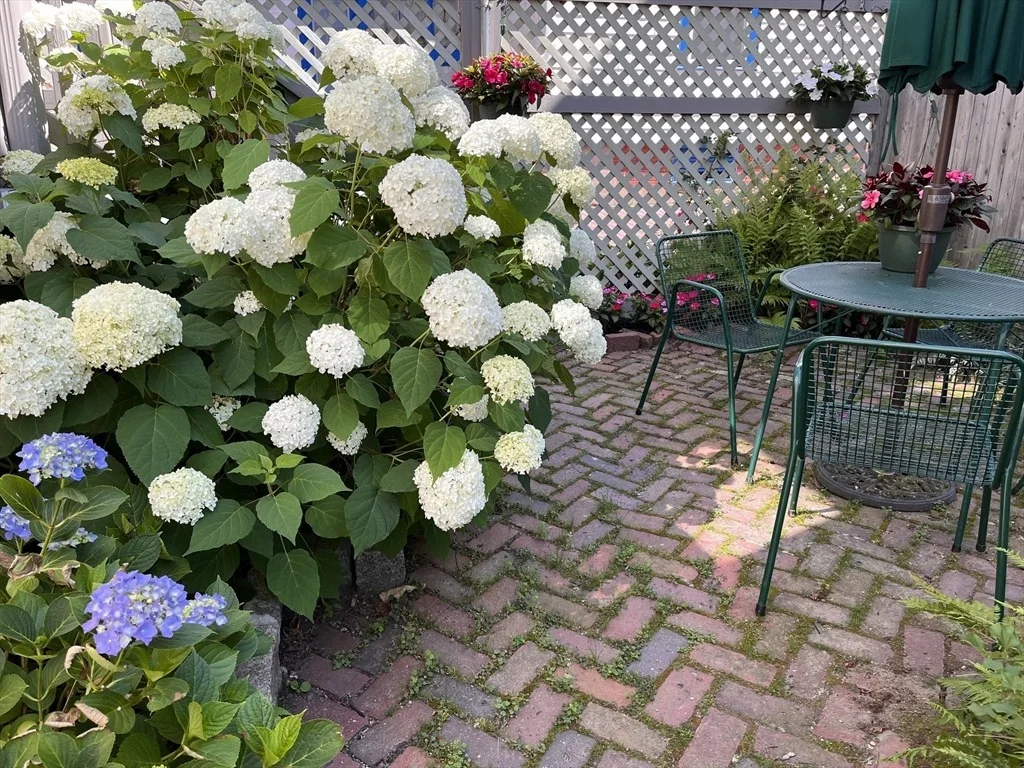 Photo of 1 Olive Place