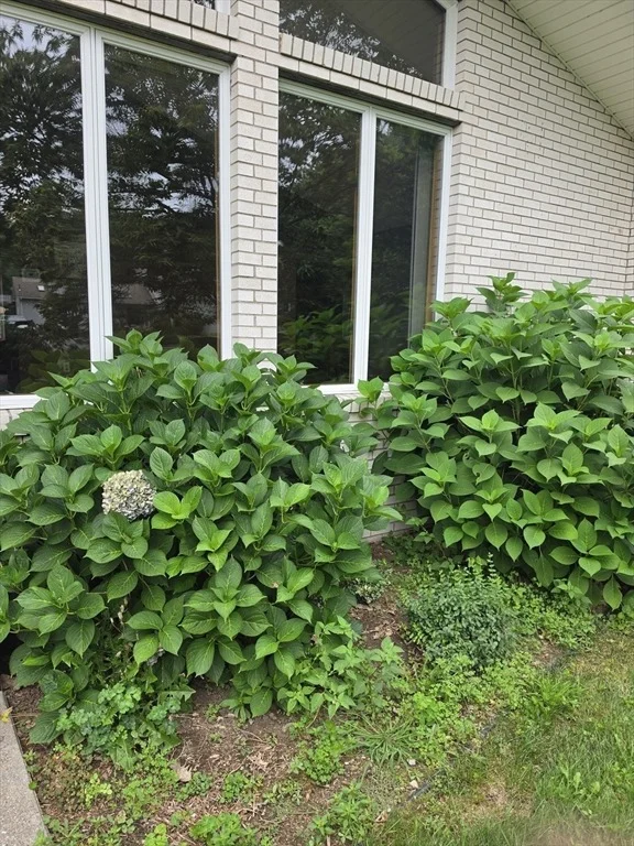Photo of 80 Elizabeth Dr