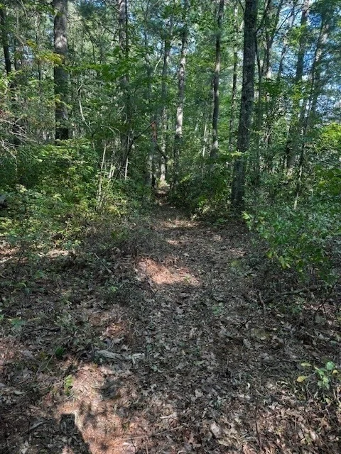 Photo of Lot 2 Nw Main Street