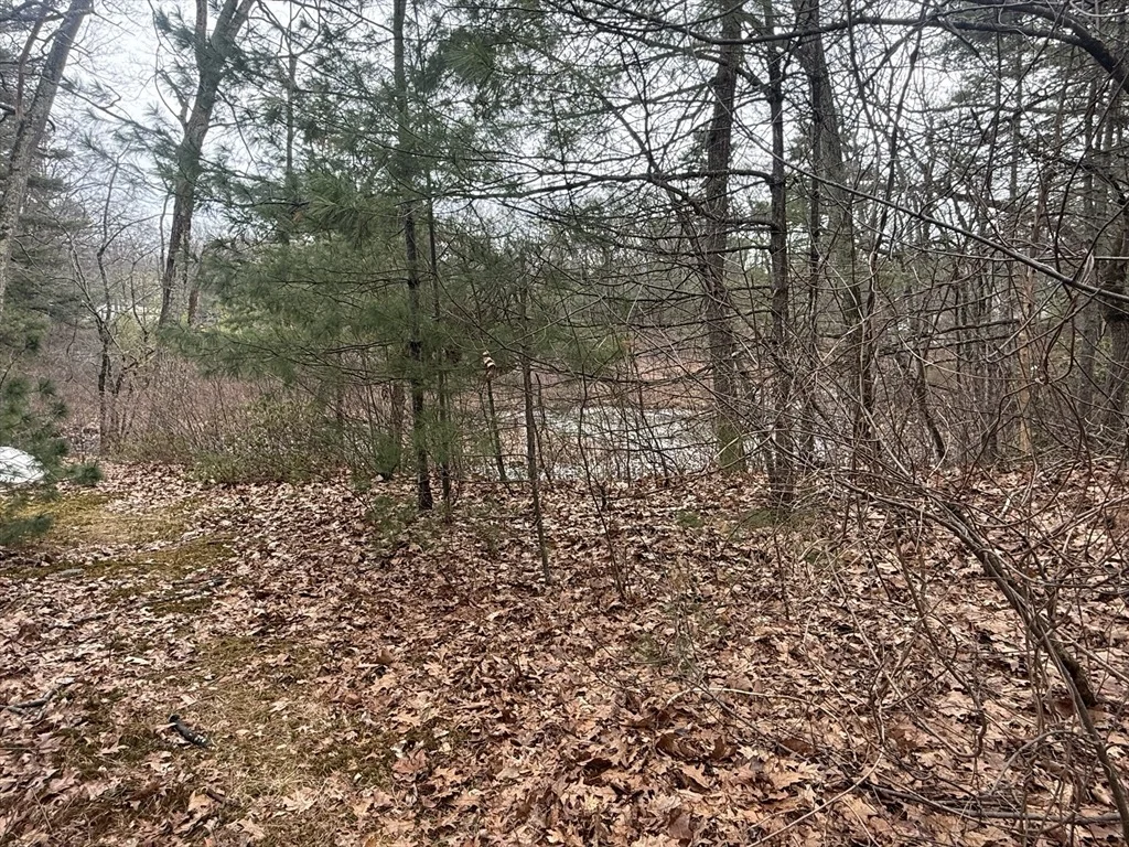 Photo of 10 Sycamore Rd