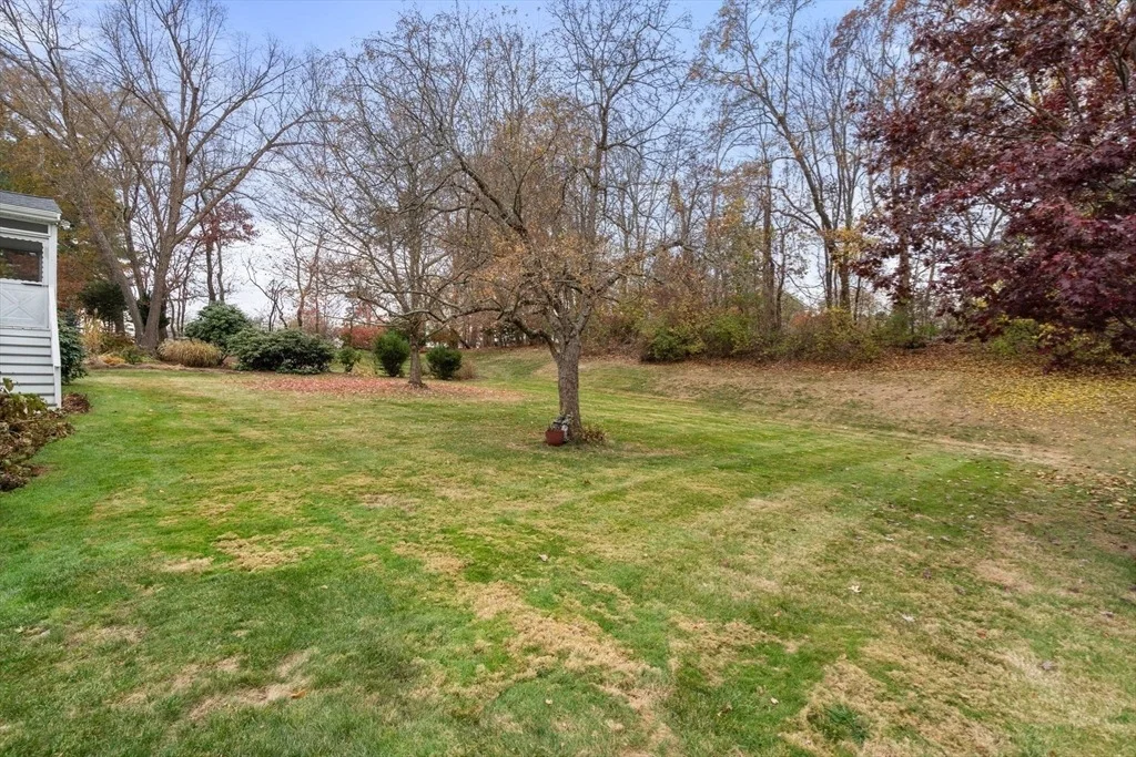 Photo of 41 Berkeley Rd