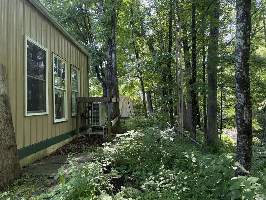 Photo of 55 Ashfield Rd