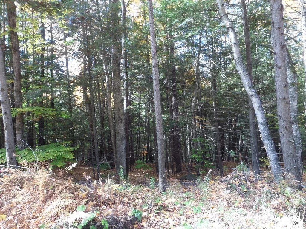 Photo of 0 Thayer Hill Rd