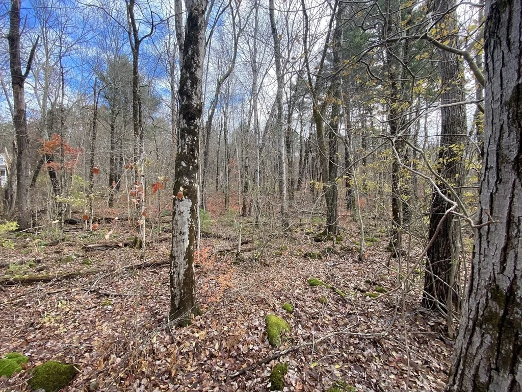 Photo of Lot 3 Washington Rd