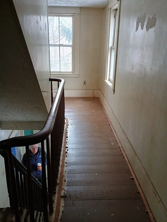 Photo of 9 Olive Street