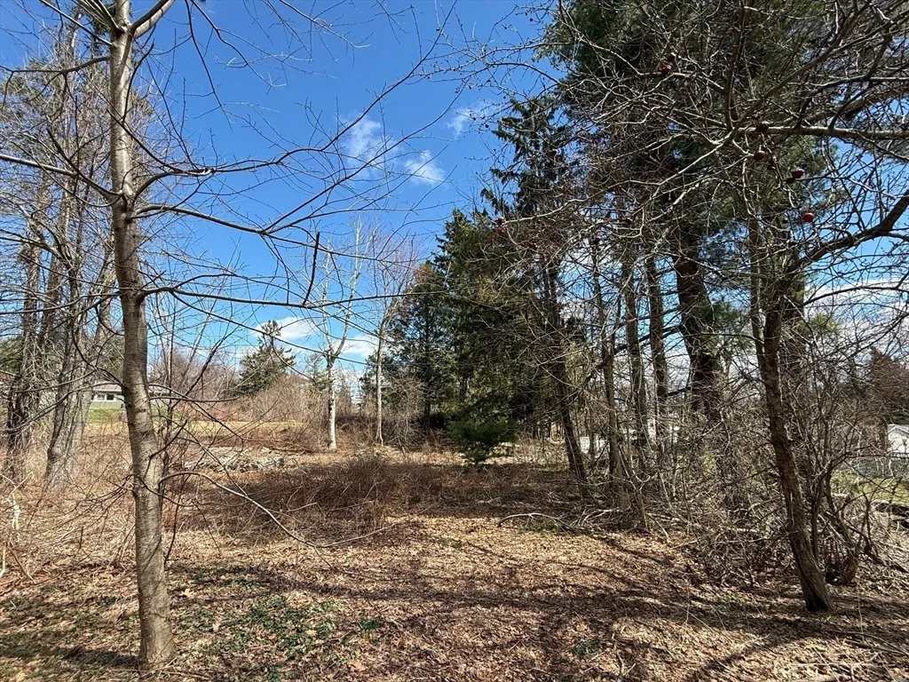 Photo of 11 Walbridge Road